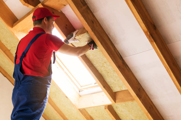 Best Spray Foam Insulation  in Emmitsburg, MD